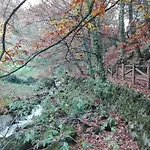 El Hilo Rojo 度假居