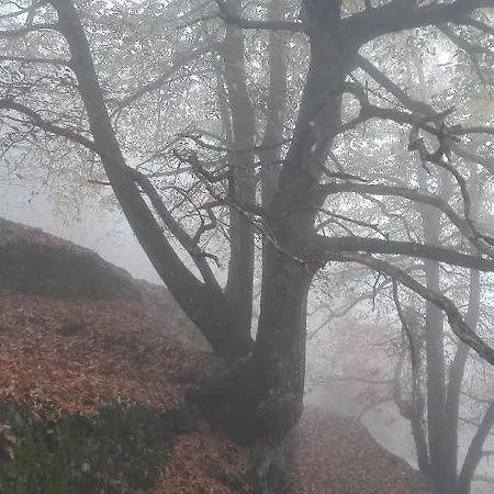 Hébergement de vacances El Hilo Rojo Barrado