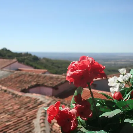El Hilo Rojo Barrado