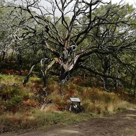 Nyaraló El Hilo Rojo Barrado