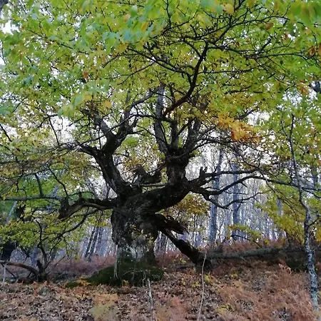 Nyaraló El Hilo Rojo *