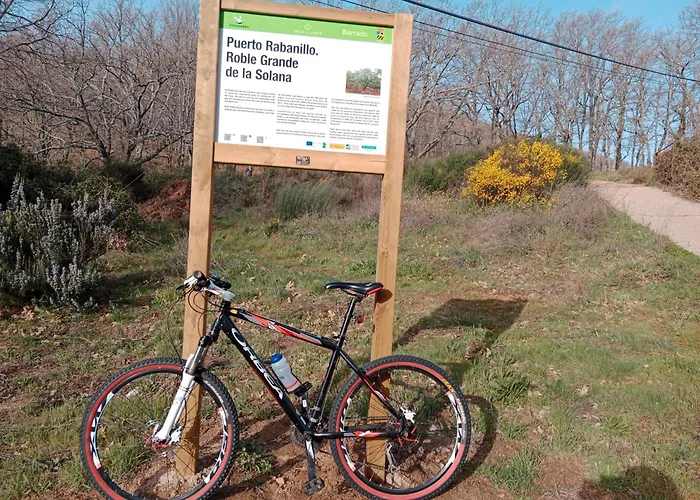 El Hilo Rojo Сasa de vacaciones *