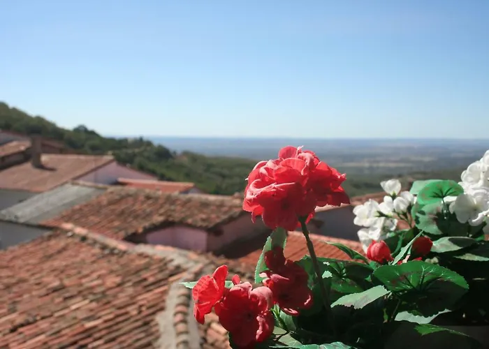 El Hilo Rojo Barrado