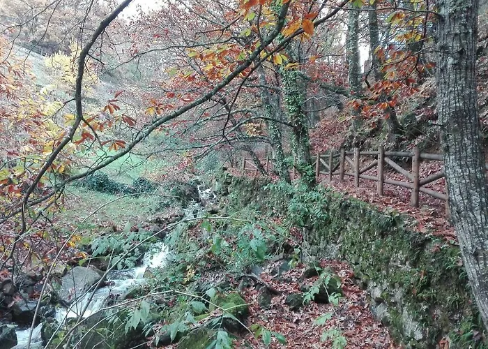 El Hilo Rojo 度假居