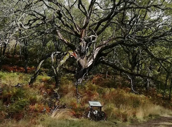 Сasa de vacaciones El Hilo Rojo Barrado
