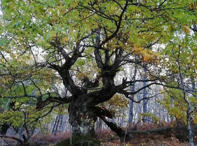Сasa de vacaciones El Hilo Rojo *